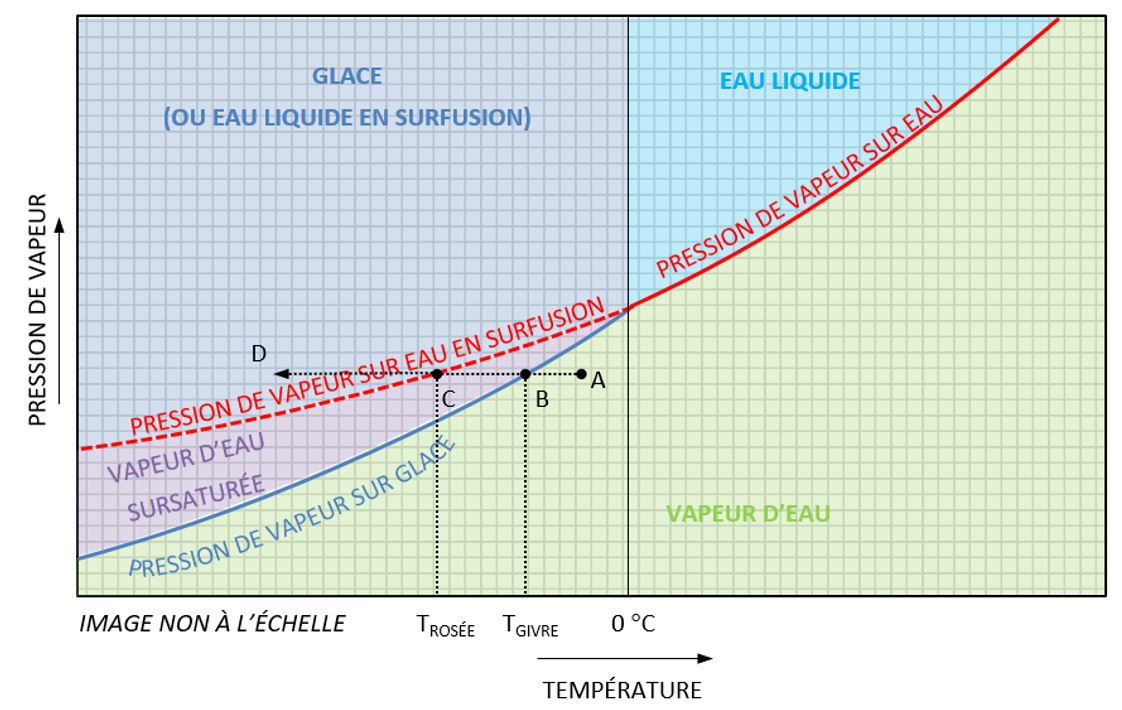 Graphique montrant la relation entre la pression de vapeur d’eau et la température (Source : BST)