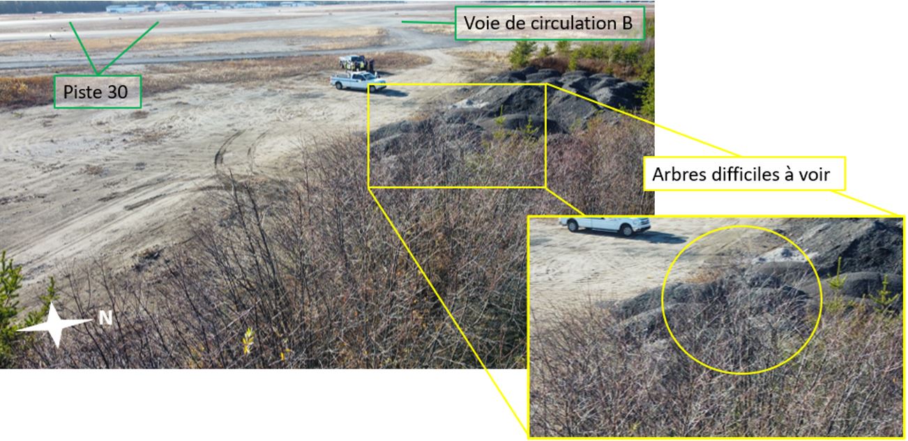 Zone de collision avec les arbres, avec gros plan en médaillon, montrant le manque de contraste entre les arbres et l’arrière-plan (Source : BST)