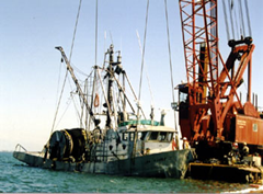 Le navire de pêche Cap Rouge II mesurant 14,7 m, redressé et attaché 