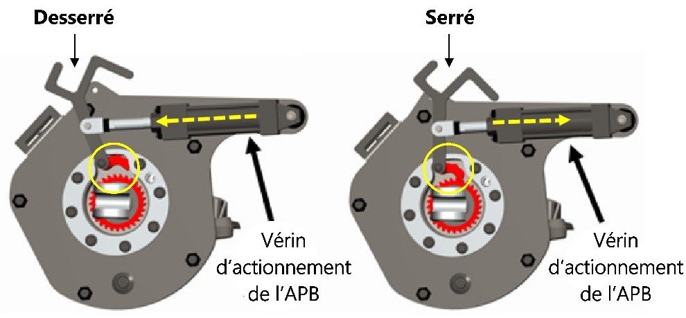 Diagramme d’un cylindre TMX montrant le frein de stationnement automatique APB en position desserrée (gauche) et en position serrée (droite) (Source : Wabtec, avec annotations du BST)